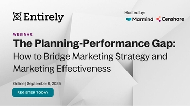 Webinar IMage: The Planning-Performance Gap