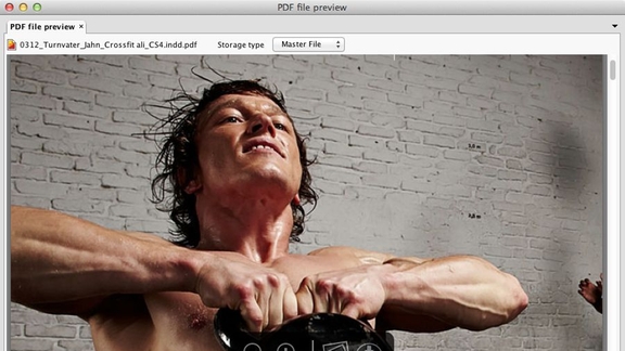 censhare 4.4: Native PDF-Vorschau im Client